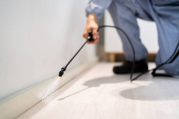 Licensed Termite Control service in Union County County, FL - Nex Pest Control