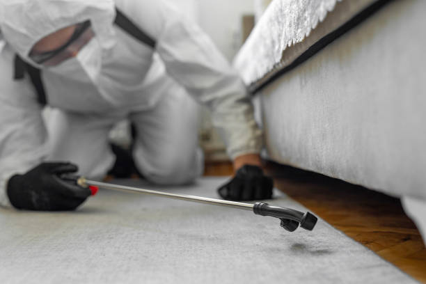 Professional Termite Control technician working in Union County County, FL